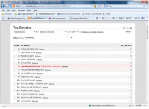 Open DNS Domains Visited Your Websites Visted Log