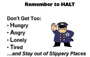 HALT acronym