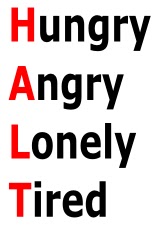 halt acronym